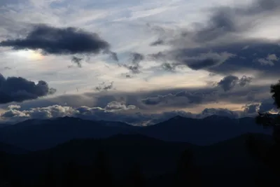 DSC_6802 (Large).JPG